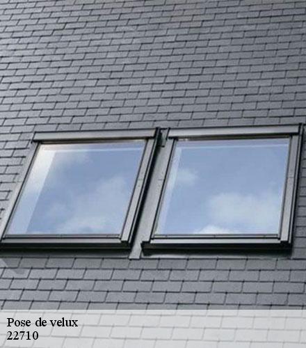 Pose de velux  port-blanc-22710 Lafleur Couverture